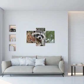 Tablou - Raton (90x60 cm)