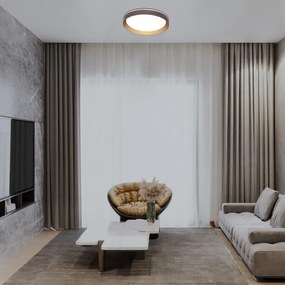 Plafonieră LED dimabilă Rabalux 71308 LADAN LED/48W/230V 3000-6500K + telecomandă