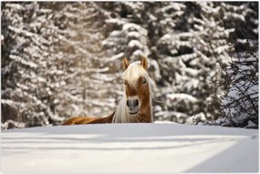 Tablou - Cal în peisaj de iarnă (90x60 cm)