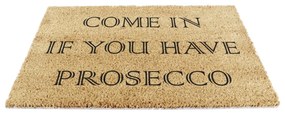 Covoraș de intrare din fibre de nucă de cocos 40x60 cm Prosecco – Artsy Doormats