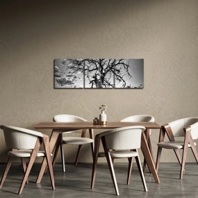 Tablou - Copacul, alb-negru (cu ceas) (90x30 cm)