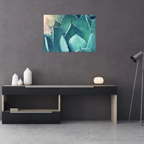 Tablou - Suculent (70x50 cm)