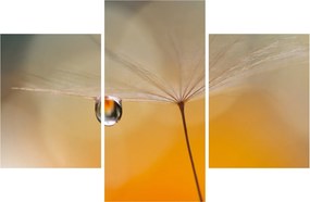 Tablou - Flori macro (90x60 cm)
