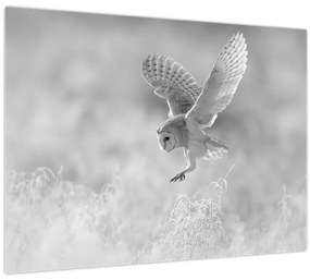 Tablou - Bufniță în câmp (70x50 cm)