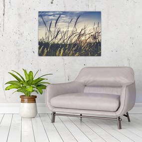 Tablou pe sticlă cu flori de câmp (70x50 cm)