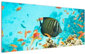 Tablou lumii submarine (120x50 cm)