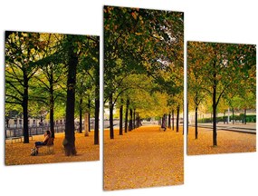 Tablou cu alee cu copaci în toamnă (90x60 cm)