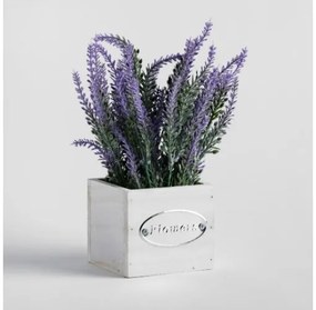 Compozitie florala lavendani