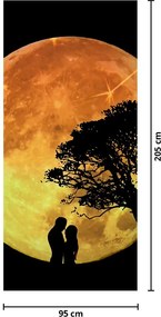 Fototapet pentru ușă - Umbre la lumina lunii (95x205cm)