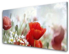 Tablou pe sticla Flori Floral Roșu Galben Alb