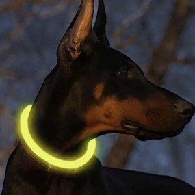 Zgardă luminoasă pentru câini - Purlov 24200