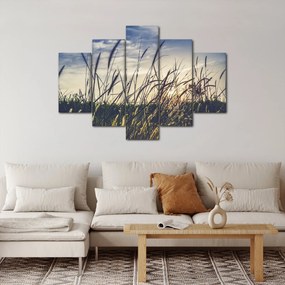 Tablou cu flori de câmp (150x105 cm)