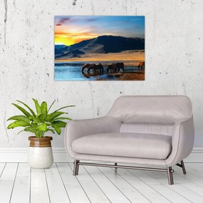 Tablou - Alimentarea cu energie electrică (70x50 cm)