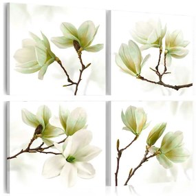 Tablou - Admiration of Magnolia