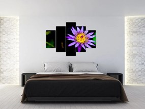 Tablou cu floare (150x105 cm)
