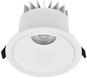 Spot LED incastrabil iluminat exterior IP67 BRADY 20W alb