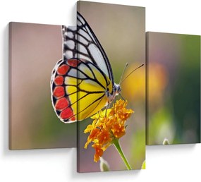 Tablou - Fluture pe floare (90x60 cm)