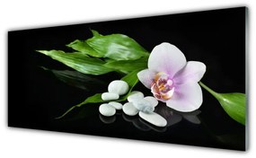 Tablouri acrilice Pietrele de flori Frunze Floral Alb Roz Verde Negru