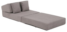 Fotoliu extensibil Plantearan (gri) . 1116447