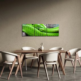 Tablou cu șerpi verzi (cu ceas) (90x30 cm)