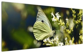 Tablou cu fluture (120x50 cm)