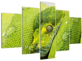 Tablou cu șarpe (150x105 cm)