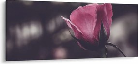 Tablou - Detaliu florii de trandafir (120x50 cm)
