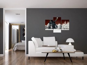 Tablou cu moară (90x60 cm)