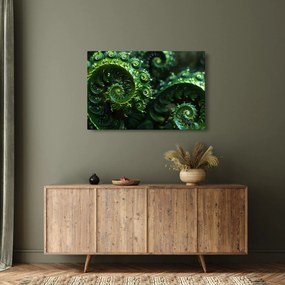 Tablou - Spirale (90x60 cm)