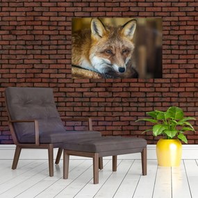 Tablou cu vulpe (90x60 cm)