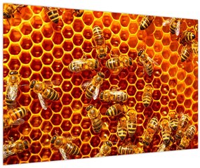 Tablou - Fagure de miere (90x60 cm)