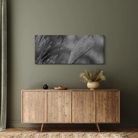 Tablou - Iarbă de pampas uscată (120x50 cm)