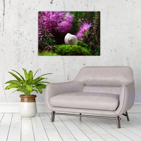 Tablou - Cochilie de melc (70x50 cm)