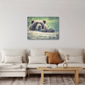 Tablou cu urs (70x50 cm)