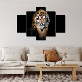 Tablou - Tiger (150x105 cm)