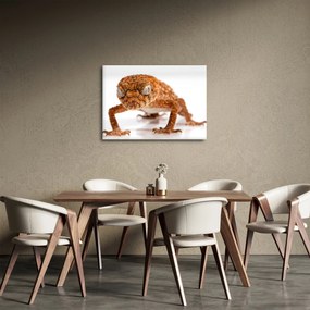 Tablou cu șopârlă (70x50 cm)