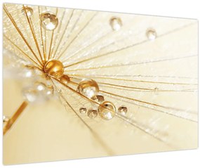 Tablou - Fotografie macro de păpădie (90x60 cm)