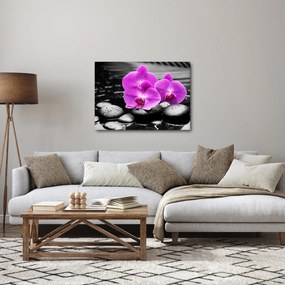 Tablou - Orhidee violet (70x50 cm)