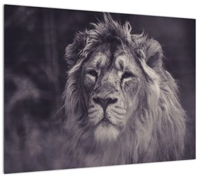 Tablou pe sticlă cu leu (70x50 cm)
