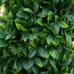 Outsunny Plantă Artificială Decorativă Buxus în Spirală cu Ghiveci Inclus, Ф32x120 cm, Verde | Aosom Romania