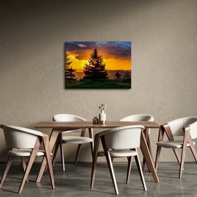 Tablou - coniferi (70x50 cm)