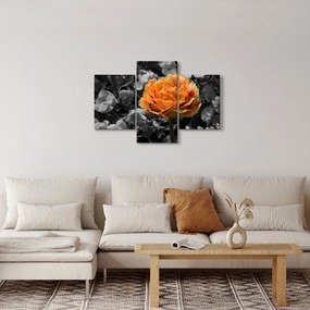 Tablou cu floare (90x60 cm)
