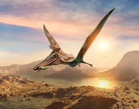 Ilustrație Pterosaur scene 3D illustration, Warpaintcobra