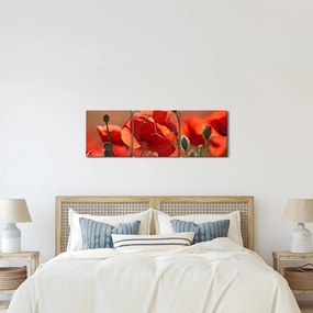 Tablou cu flori de maci (cu ceas) (90x30 cm)