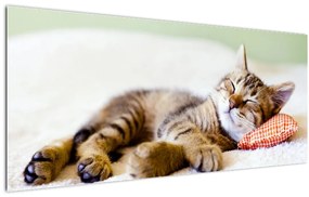 Tablou - Pisicuța adormită (120x50 cm)