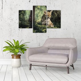 Tablou cu vulpe (90x60 cm)