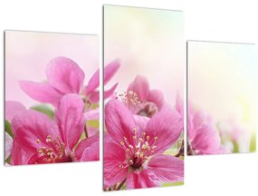 Tablou - Flori roz (90x60 cm)