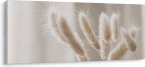 Tablou - Cozi de iepure (120x50 cm)