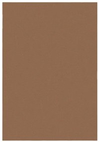 Covor Mellow Soft Maro 80X150 cm, Flair Rugs