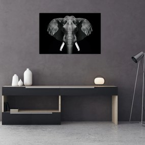 Tablou - Elefant pe fundal negru (90x60 cm)
